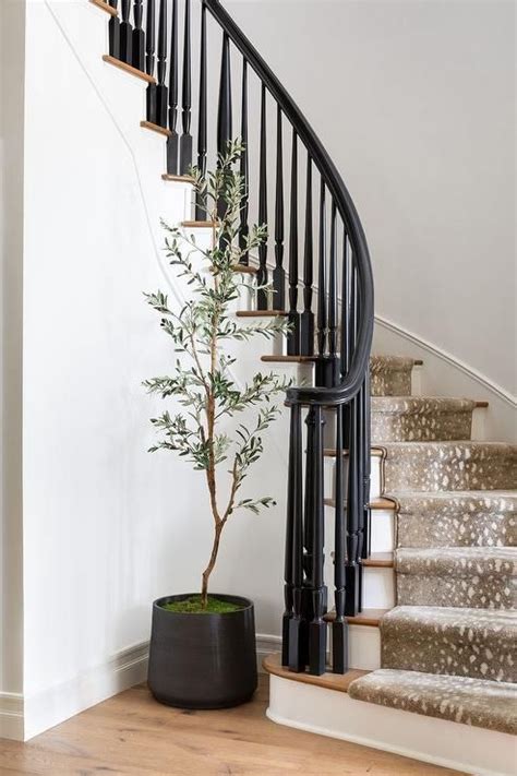 Curved Staircase With Gray Antelope Runner Transitional Entrance