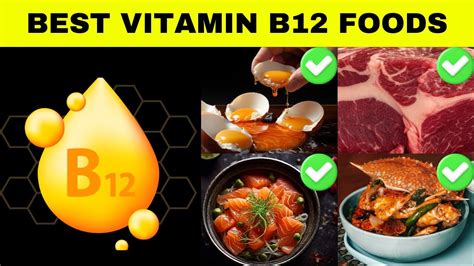 Foods High In Vitamin B12 Richest Food Sources Of Vitamin B12 Youtube