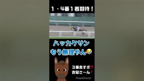 【馬券】地方競馬の新馬戦‼️ベテラン騎手の圧倒的な人気‼️あなたならどうする⁉️競馬 Youtube