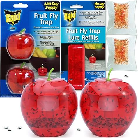 Fruit Fly Traps For Indoors By Raid 2 Lures 2 Refills Effective Fruit Fly