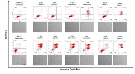 Apoptosis Was Induced Only In A Cancer Cells M And M