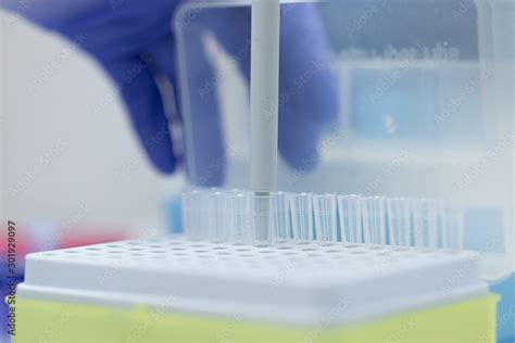 Polymerase Chain Reaction (PCR) and Agarose gel electrophoresis is a ...