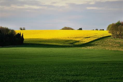 Kostenlose Bild Feld Landwirtschaft Baum Landschaft Gras Natur