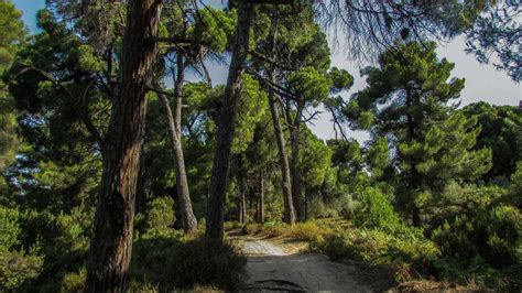 Hiking in Skiathos, Greece - Things to Do - Holidify