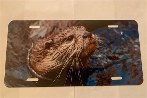 Outstanding Otter Premium License Plate Made In The Usa Etsy