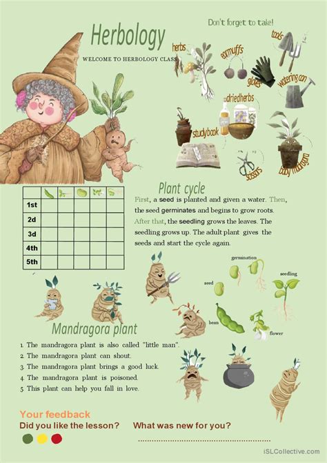 Herbology Class Harry Potter General English ESL Worksheets Pdf Doc