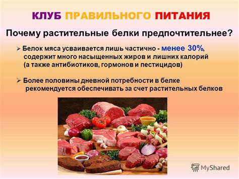 Правильное Белковое Питание — Похудение Диета Правильное Питание