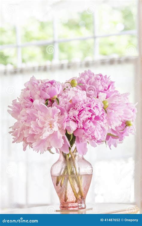 Pink Peonies Stock Photo Image Of Floral Beautiful 41487652