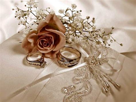 🔥 Flowers Wedding Marriage Background Free Download | CBEditz