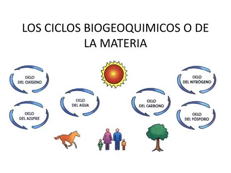 Los Ciclos Biogeoquimicos O De La Materia Ppt