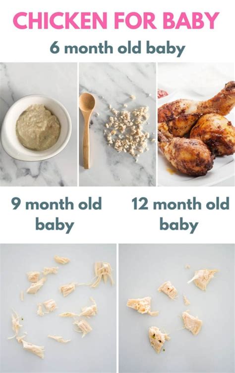 Chicken for Babies (BLW & puree, with recipes) - Creative Nourish