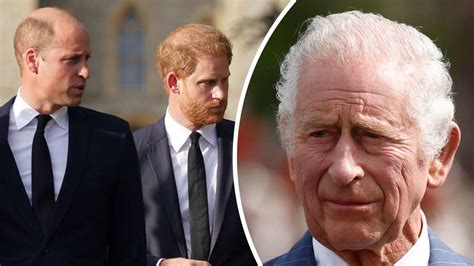 Trotz Charles Krebsdiagnose Bruderzwist Zwischen Harry Und William