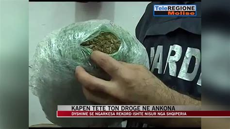 8 ton drogë me origjinë nga Shqipëria sekuestrohet në Itali News