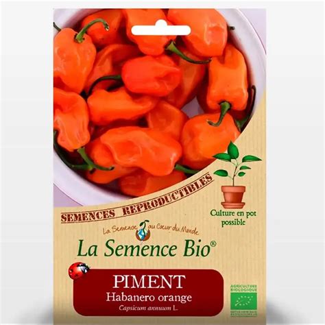 PIMENT Habanero Orange Les Graines Bio Jaime Jardiner