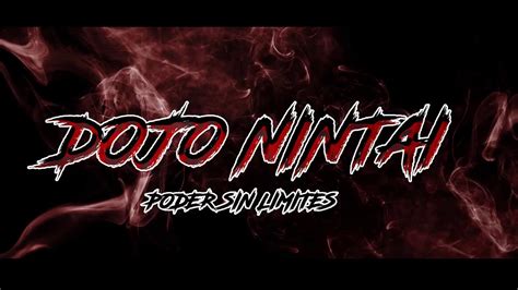 Nuevos Danes Dojo Nintai Youtube