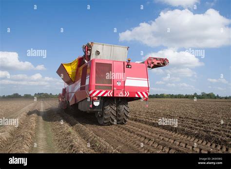 Potato Harvester Agricultural Potato Combine Harvester At Field