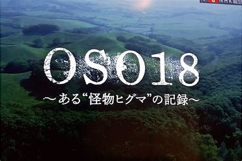 怪物の正体。『nhkスペシャル／謎のヒグマ・oso18～あるﾞ怪物ヒグマの記録～』 ひなた日和