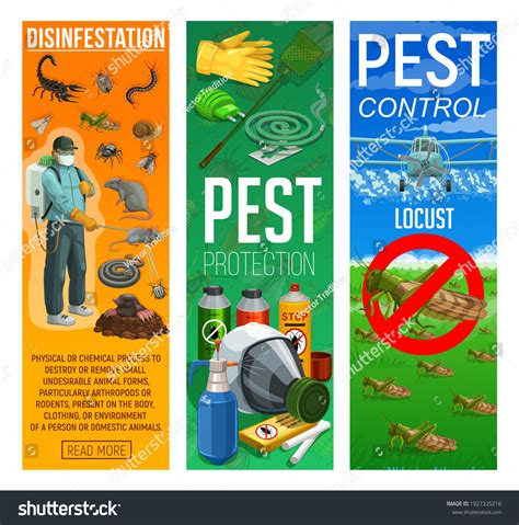 Deratization Disinfection Rodents Insects Pests Control Stock Vector Royalty Free 1927325216