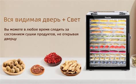 Дегидратор tinzida TZD-C-1 12, 800 Вт - купить по выгодным ценам в ...