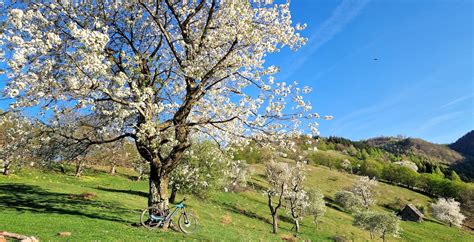 Meteorologii Sibieni Temperaturile Sunt N Cre Tere N Acest Sf R It