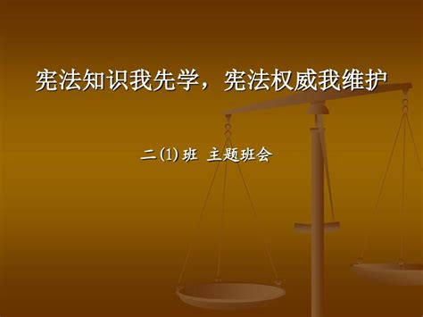 小学生宪法知识讲座word文档在线阅读与下载无忧文档