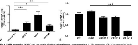 Figure From Functional Analysis Of Esm By Shrna Mediated Knockdown