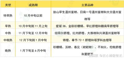 2024年中国柑橘产业数据分析简报澎湃号·湃客澎湃新闻 The Paper