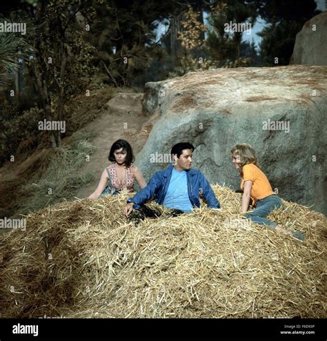 Released Mar 6 1964 Original Film Title Kissin Cousins Pictured