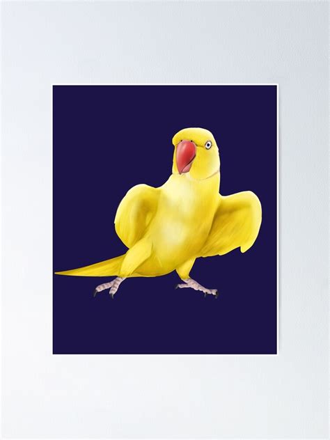 "Yellow Indian Ringneck Parrot" Poster by Mehu | Redbubble