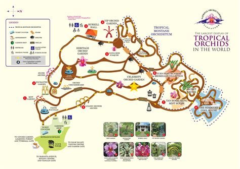 National Orchid Garden Attractions Map And Zones