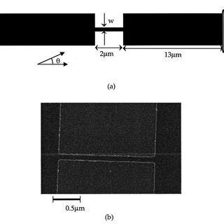 a Schematic representations of the fabricated constricted Ni 80 Fe 20 ...