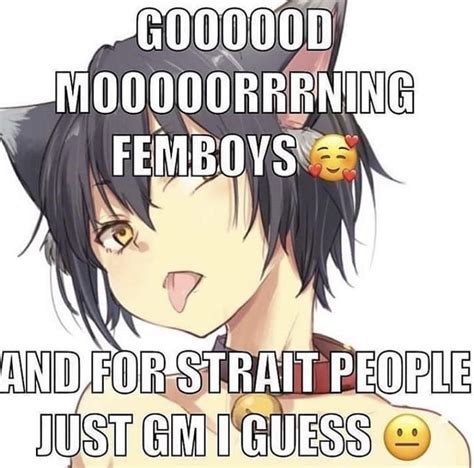 catboy sticking toung out : r/MemeTemplatesOfficial