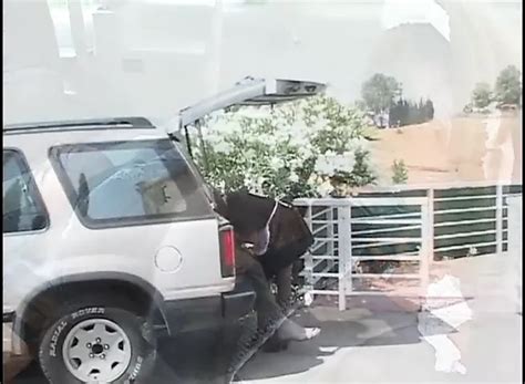 Old Pig Nasty Tales The Vintage Experience Vol Retro Blowjob Porn XHamster