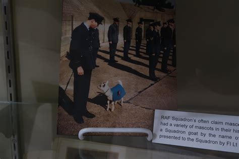 Raf No Squadron Mascots Air Force Flight Test Museum R Flickr