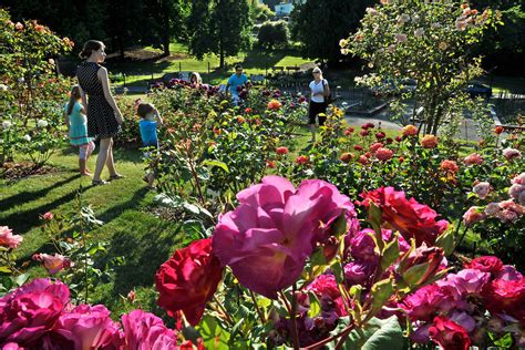 Botanical Gardens Seattle Area | Fasci Garden