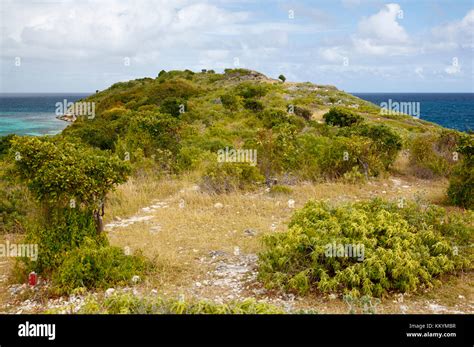 Bird Island Which Belongs To Antigua Stock Photo Alamy