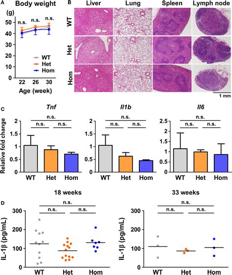 Frontiers Traps Mutations In Tnfrsf A Decrease The Responsiveness To