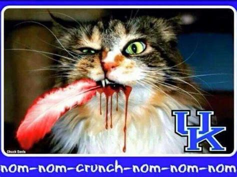 Ky Wildcats Beat Louisville 58 50 On 122714 Bbn Go Big Blue Big