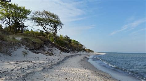 Ferienhäuser und Ferienwohnungen im Ostseebad Prerow VVR Flöter