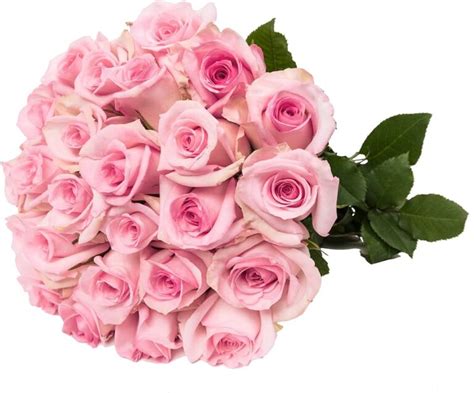 Cuánto cuesta una rosa en una floristería Precios de rosas en una