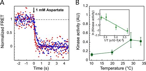 Thermal Robustness Of Signaling In Bacterial Chemotaxis Cell