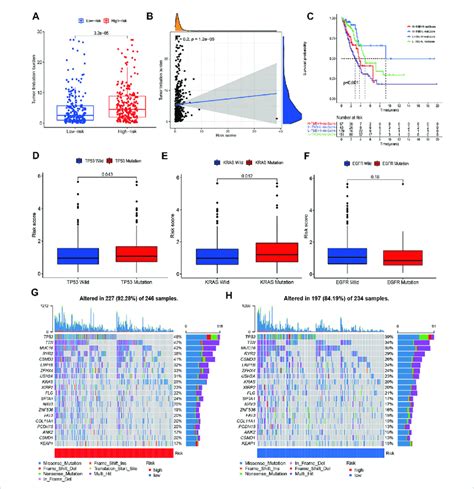 The Tmb Level And Somatic Mutation Analysis Of Risk Score A