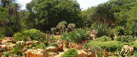 Walter Sisulu Botanical Gardens Activities | Fasci Garden