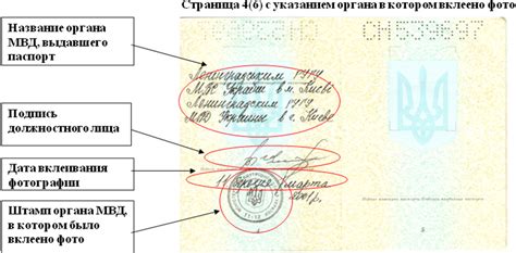 3.3 Паспорт гражданина Украины