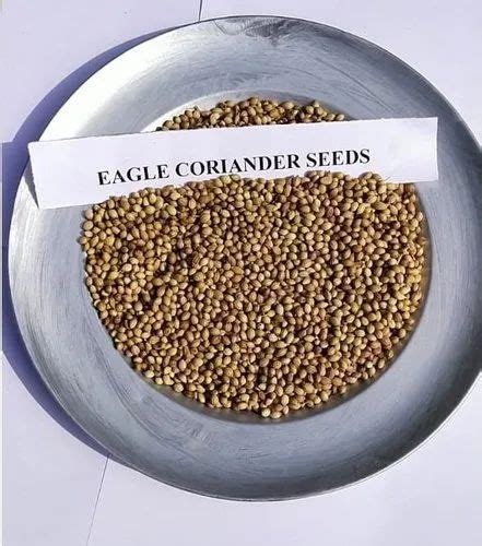 Dried Brown Eagle Coriander Seeds For Cooking Packaging Size 10 20