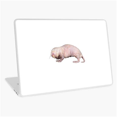 Naked Mole Rat Sticker For Sale By Cuddly Goblin Redbubble