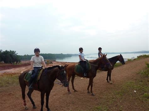 Riders Without Borders Amigos Horse Riding Pasir Gudang Johor