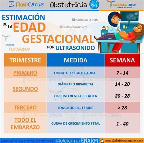 Estimación de la edad Gestacional Obstetricia Enfermería obstetricia