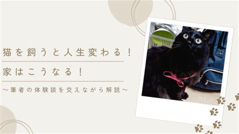 猫を飼うと人生変わる！家はこうなる！猫歴20年以上の筆者の体験談を交えて解説 猫と生き笑うためのブログ