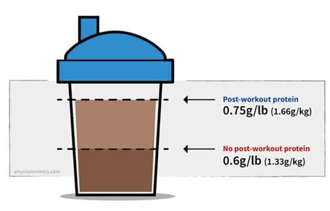 Should You Have Protein After Your Workout Physiqonomics